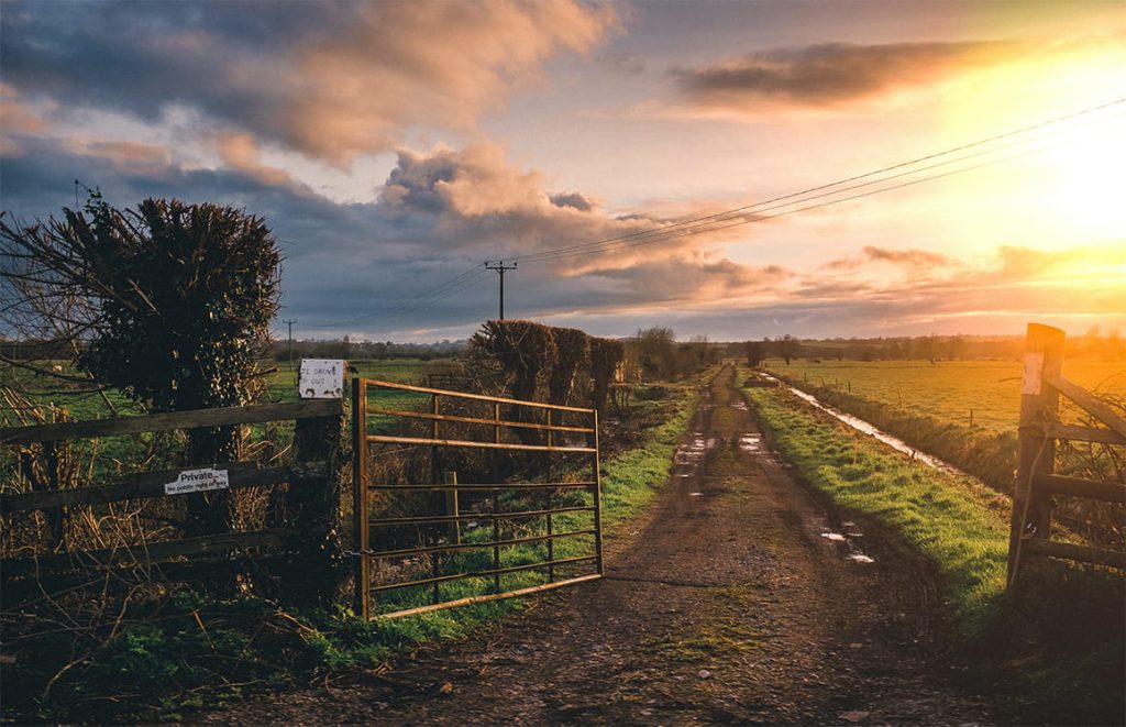 A farm gate and track at sunset