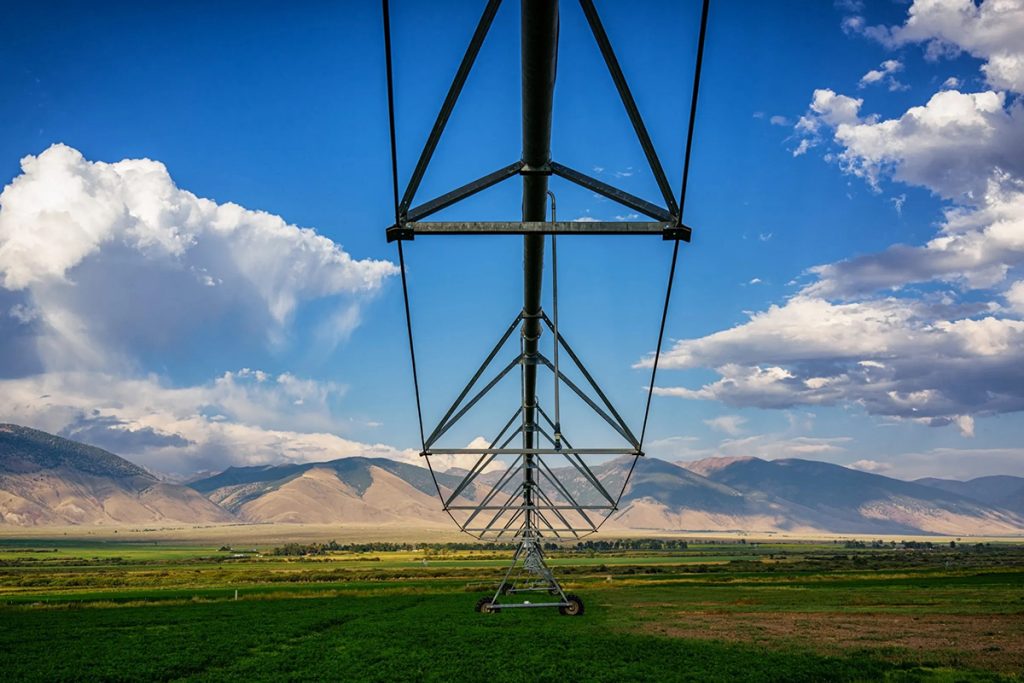Centre-pivot irrigation over green fields